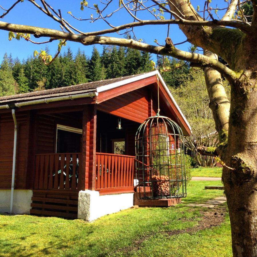 Stravaigin Lodge Dunoon Exteriér fotografie
